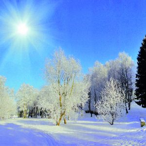 015 Christmas Morning