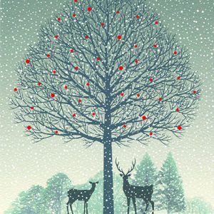 049 Snow Reindeers